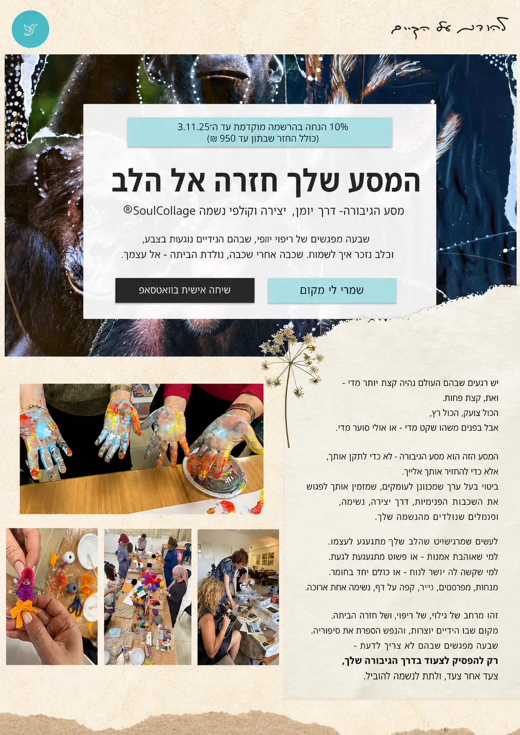 ציפי גכט